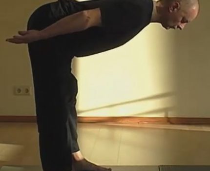 1500- Online-Kurs 2019-1-4,  365 Tage gesund